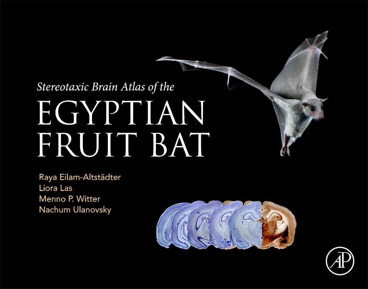 Stereotaxic Brain Atlas of the Egyptian Fruit Bat main product photo