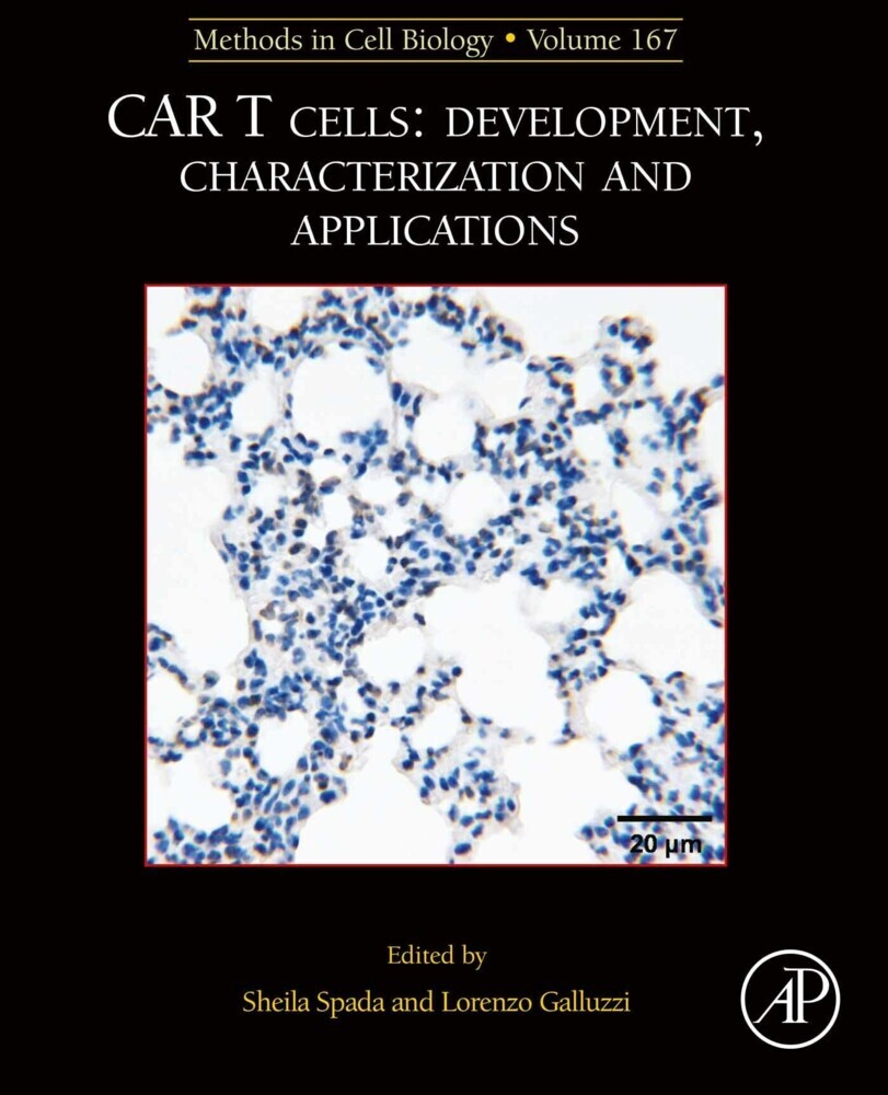 MCB: CAR T Cells: Development, Characterization and Applications main product photo