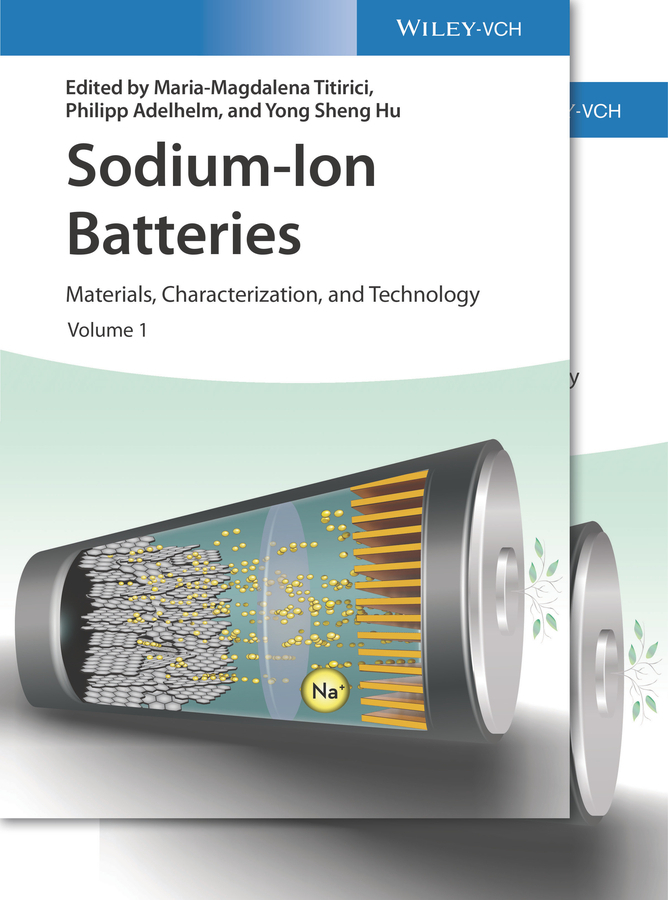 Sodium-Ion Batteries main product photo
