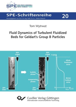 Fluid Dynamics of Turbulent Fluidized Beds for Geldart s Group B Particles