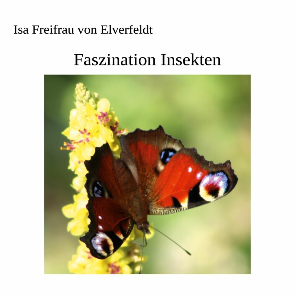 Faszination Insekten main product photo