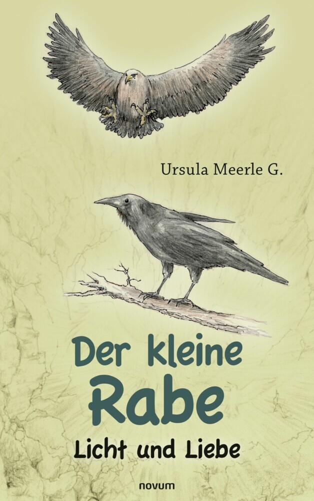 Der kleine Rabe main product photo