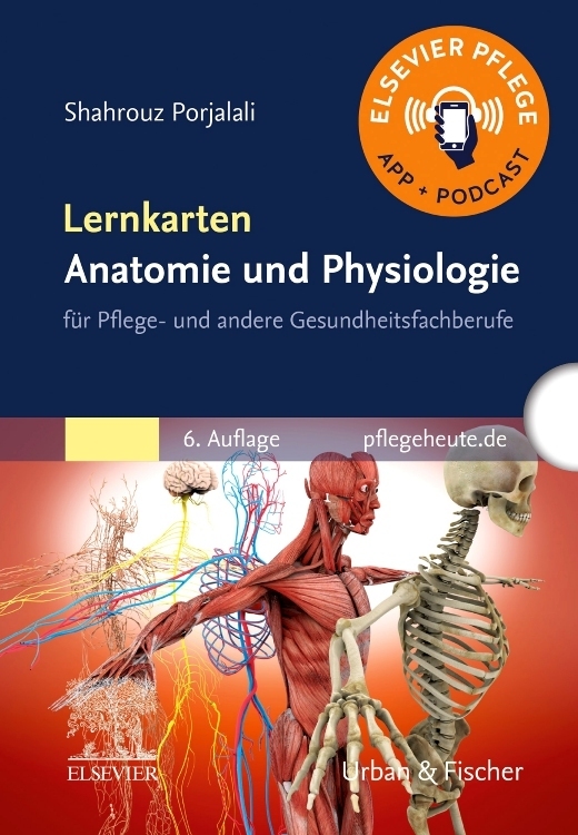 Lernkarten Anatomie und Physiologie main product photo