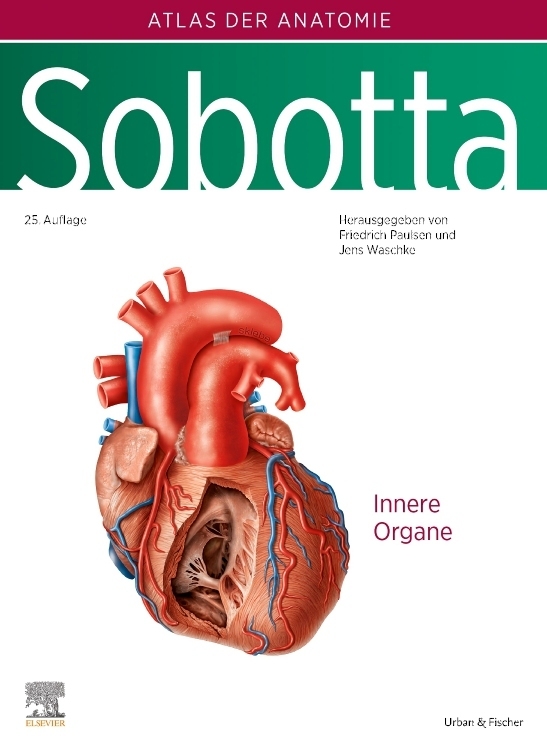 Sobotta, Atlas der Anatomie des Menschen Band 2 main product photo