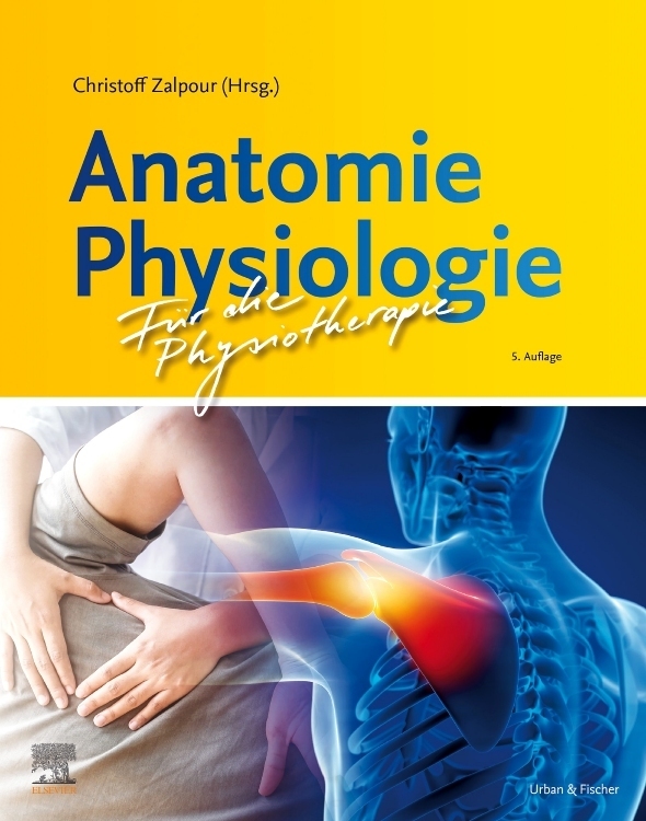 Anatomie Physiologie für die Physiotherapie main product photo