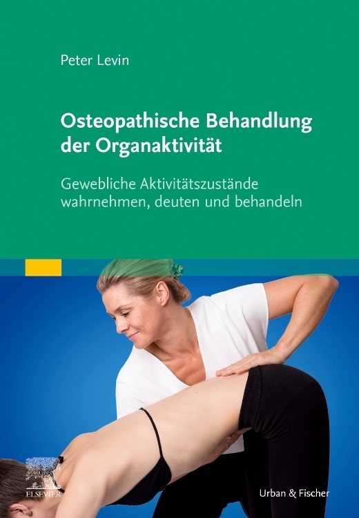 Osteopathische Behandlung der Organaktivität main product photo
