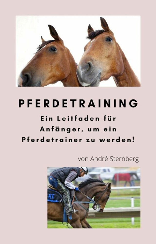 Pferdetraining main product photo