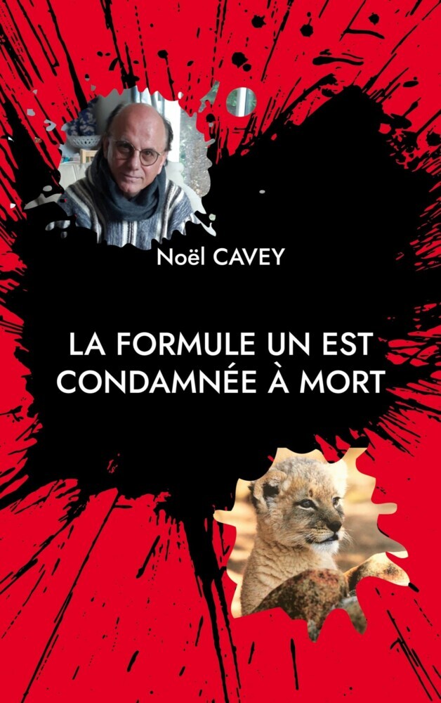 La Formule Un est condamnée à mort main product photo