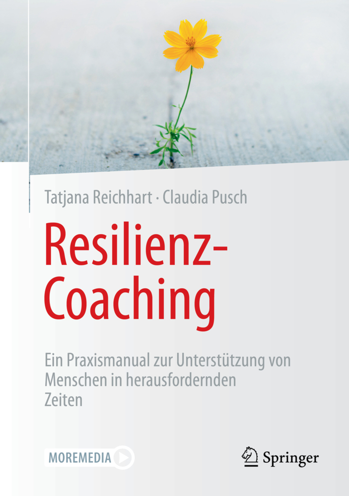 Resilienz-Coaching main product photo