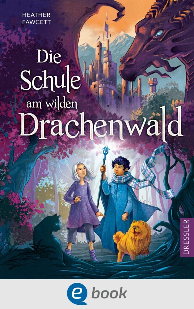 Die Schule am wilden Drachenwald main product photo