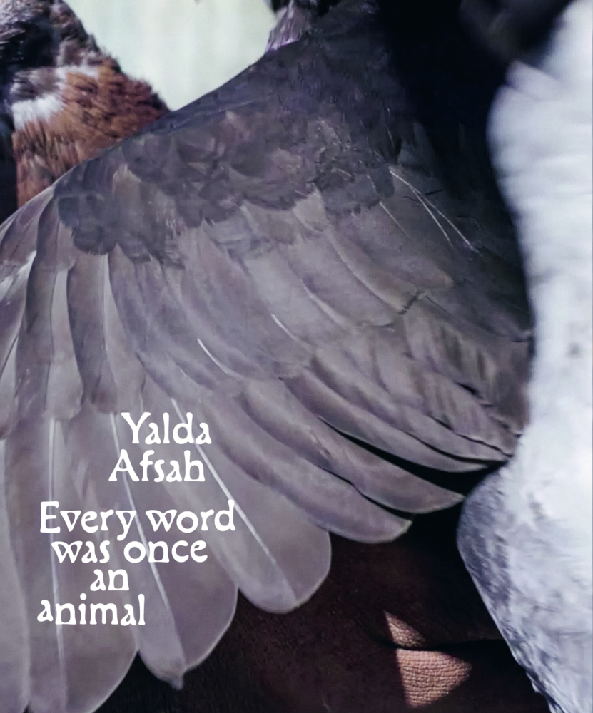 Every word was once an animal main product photo
