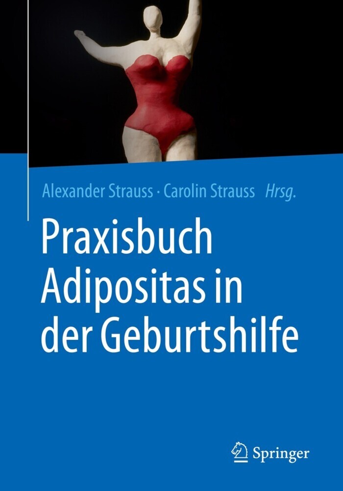 Praxisbuch Adipositas in der Geburtshilfe main product photo