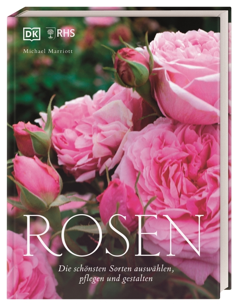 Rosen main product photo