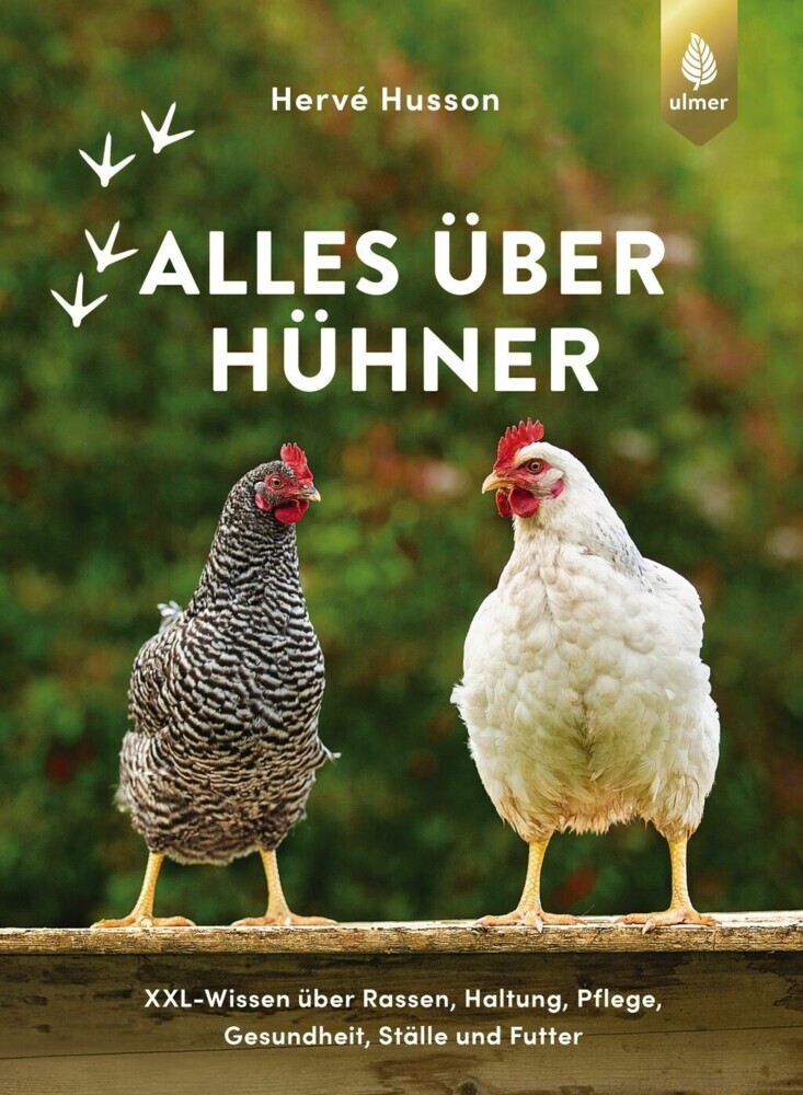 Alles über Hühner main product photo