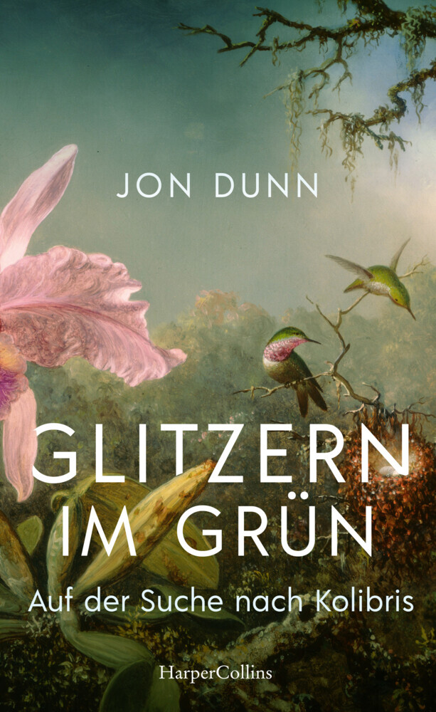 Glitzern im Grün - Auf der Suche nach Kolibris main product photo