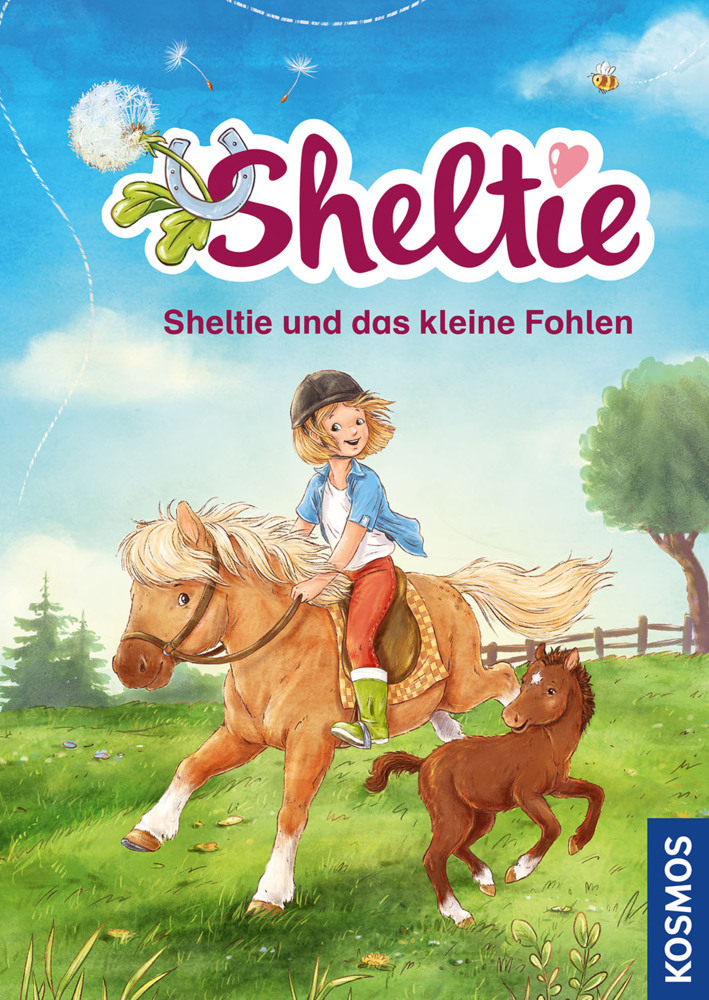 Sheltie - Sheltie und das kleine Fohlen main product photo