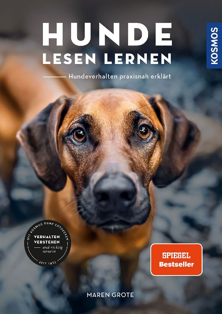 Hunde lesen lernen main product photo