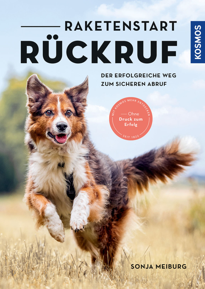 Raketenstart-Rückruf main product photo