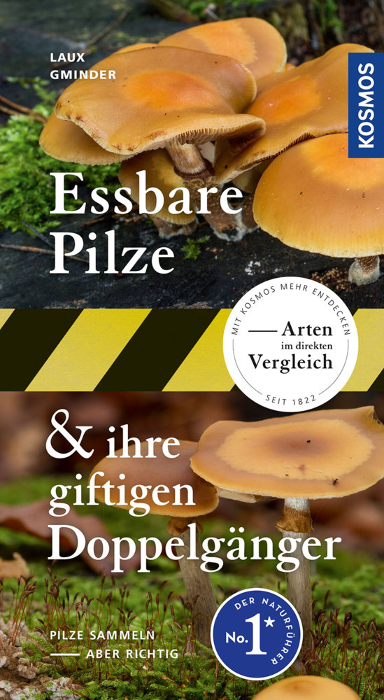 Essbare Pilze und ihre giftigen Doppelgänger main product photo