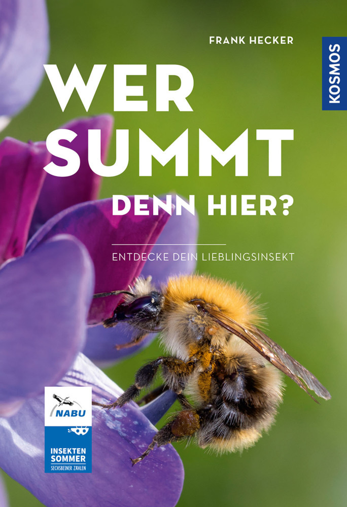 Wer summt denn hier? main product photo