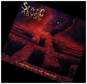 Labyrinth of Veins, 1 Audio-CD