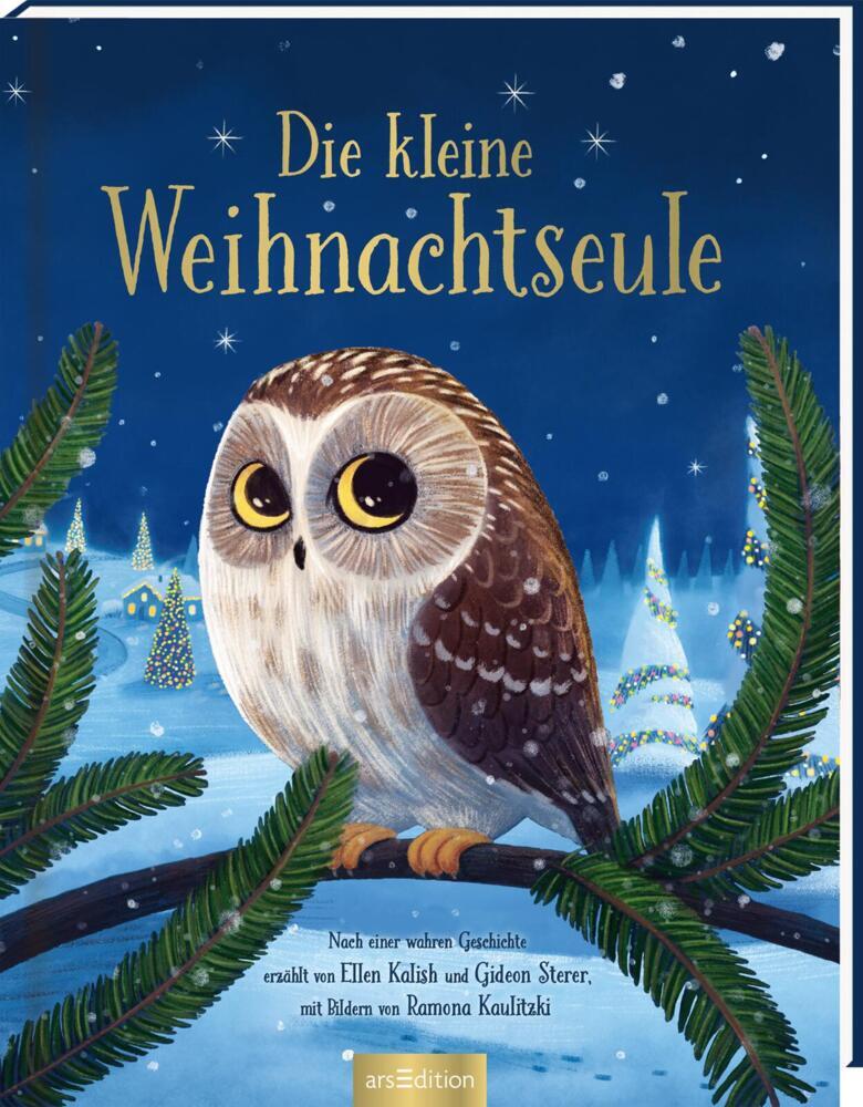 Die kleine Weihnachtseule main product photo