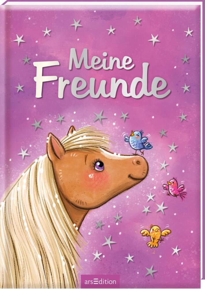 Meine Freunde - Zauberponys main product photo
