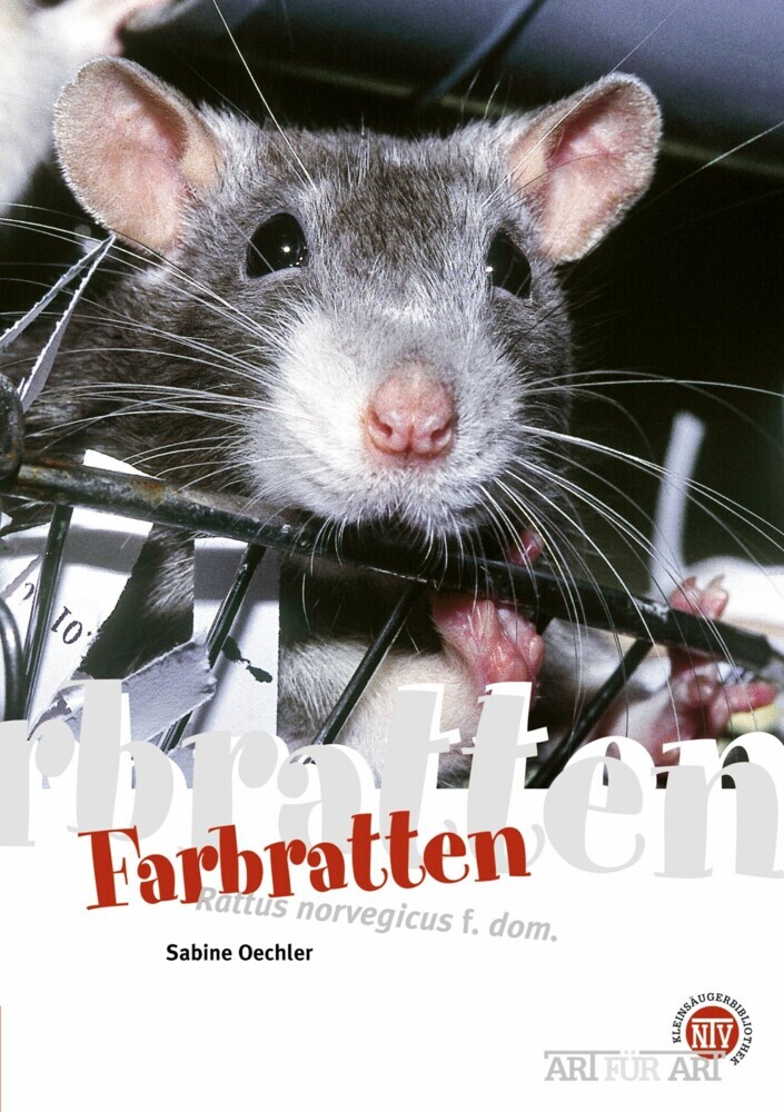 Farbratten main product photo