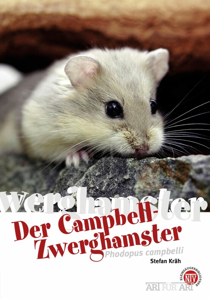 Der Campbell-Zwerghamster main product photo