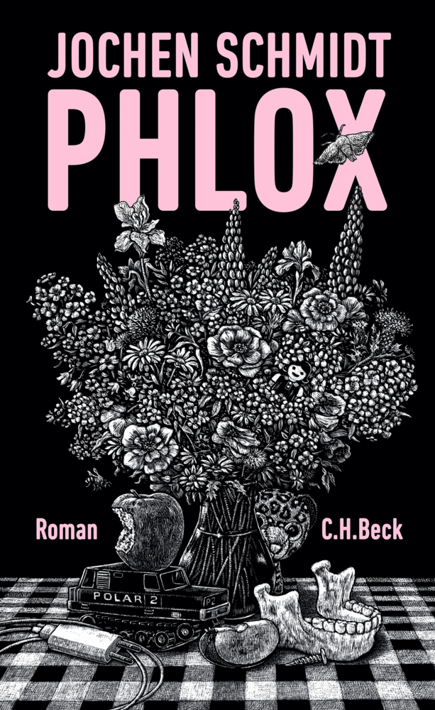 Phlox main product photo
