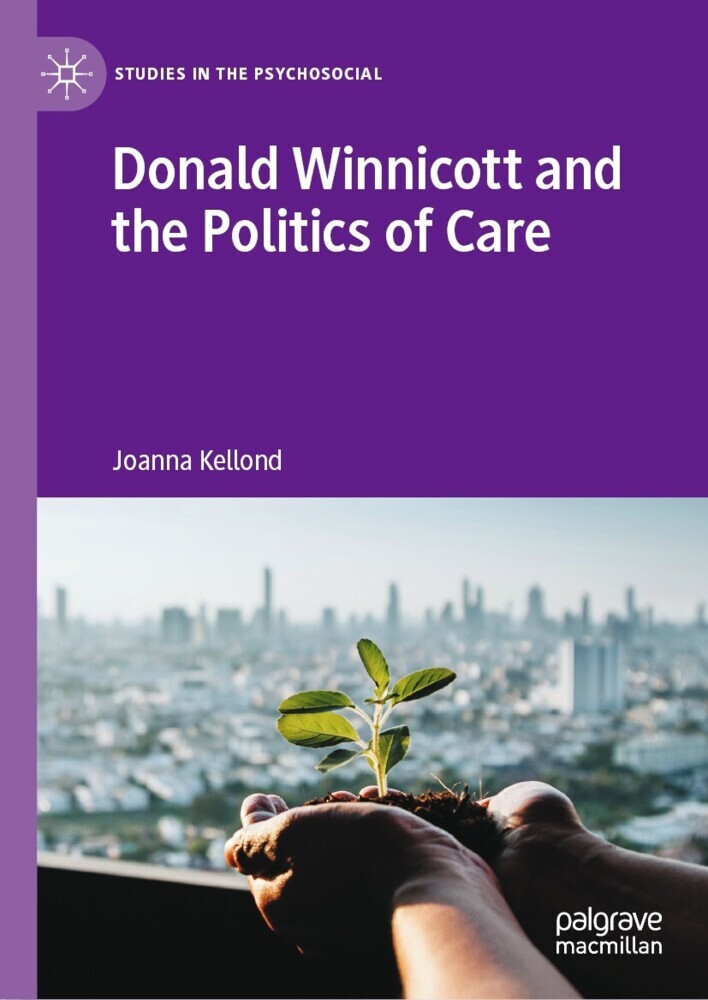 Donald Winnicott and the Politics of Care main product photo
