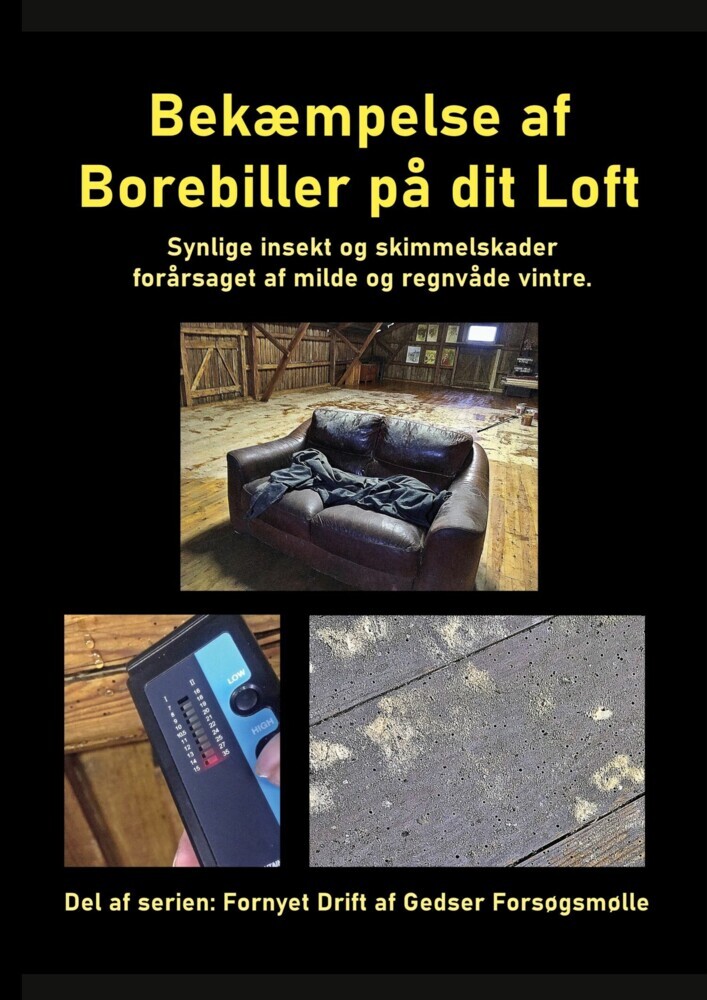 Bekæmpelse af Borebiller på dit Loft main product photo