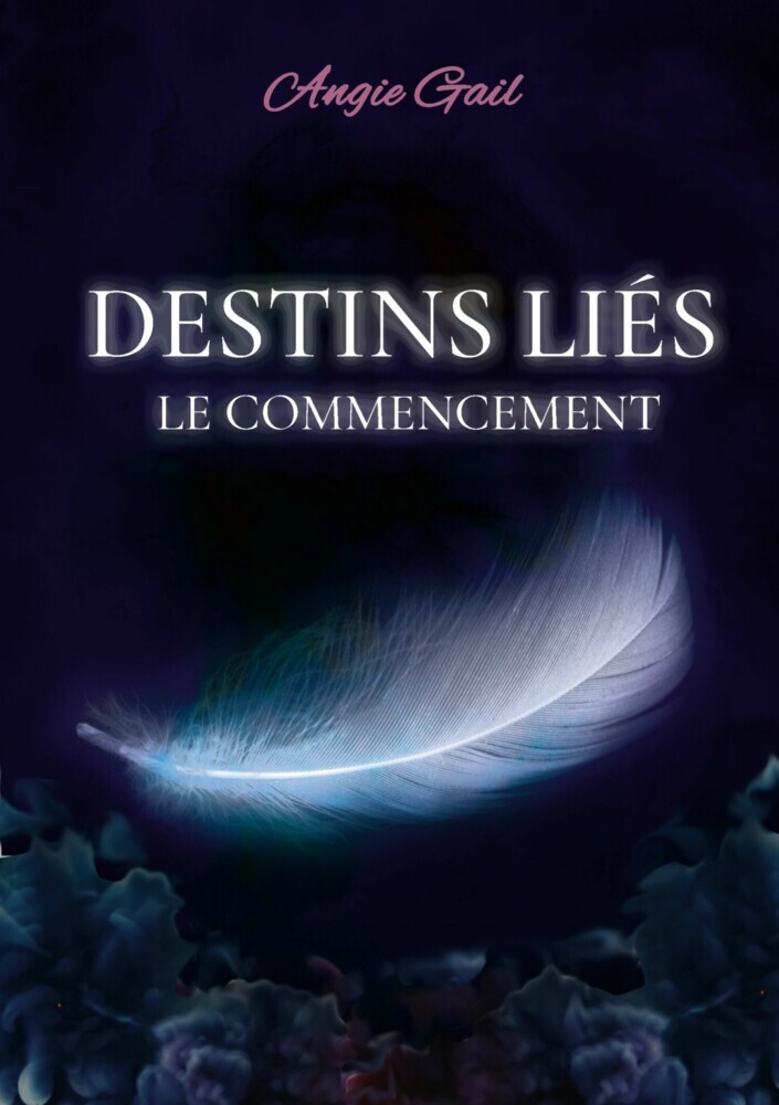 Destins Liés main product photo