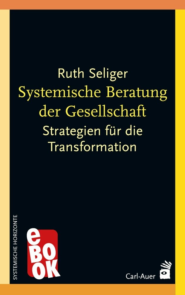 Systemische Beratung der Gesellschaft main product photo