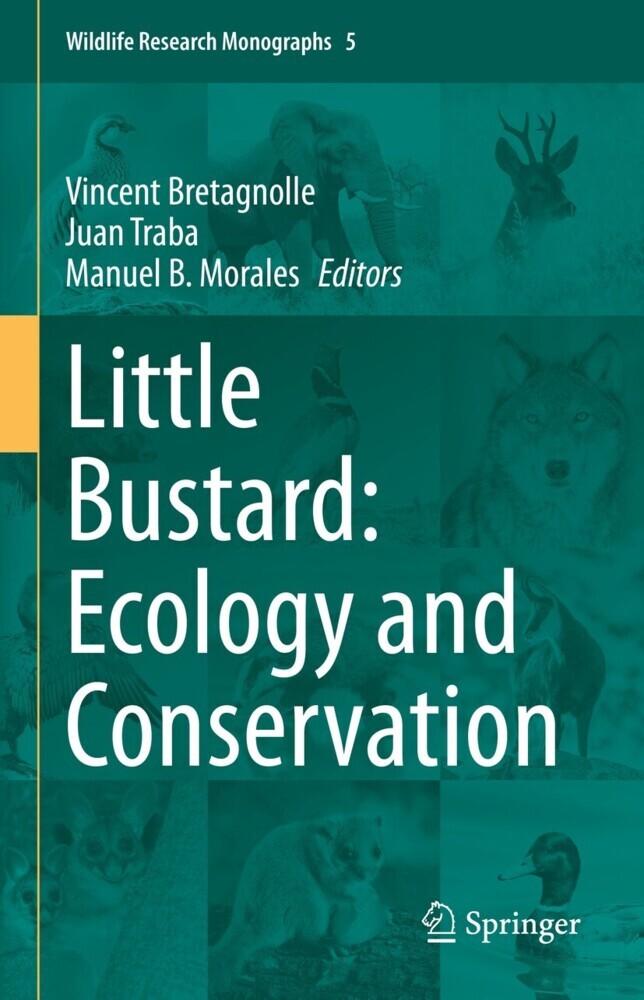 Little Bustard: Ecology and Conservation main product photo