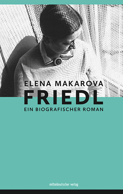 Friedl main product photo