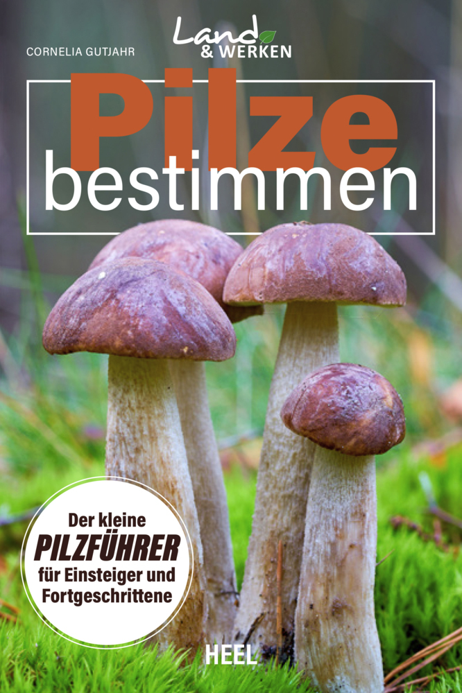 Pilze bestimmen - Der kleine Pilzführer für Einsteiger und Fortgeschrittene main product photo