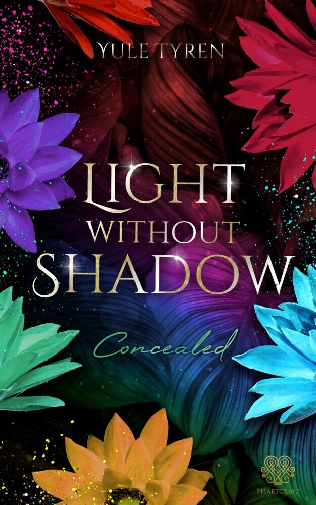 Light Without Shadow - Concealed (Gay New Adult) main product photo