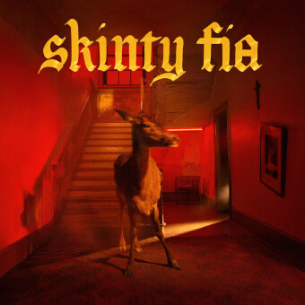 Skinty Fia, 1 Audio-CD, 1 Audio-CD