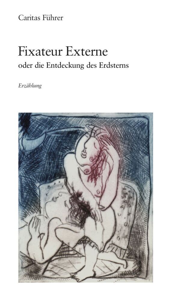 Fixateur Externe oder die Entdeckung des Erdsterns main product photo