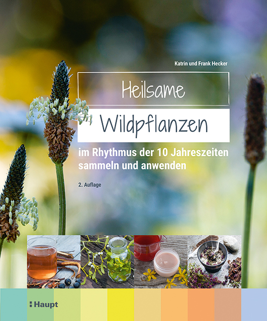 Heilsame Wildpflanzen main product photo