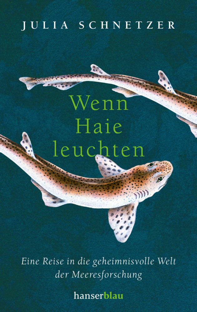 Wenn Haie leuchten main product photo