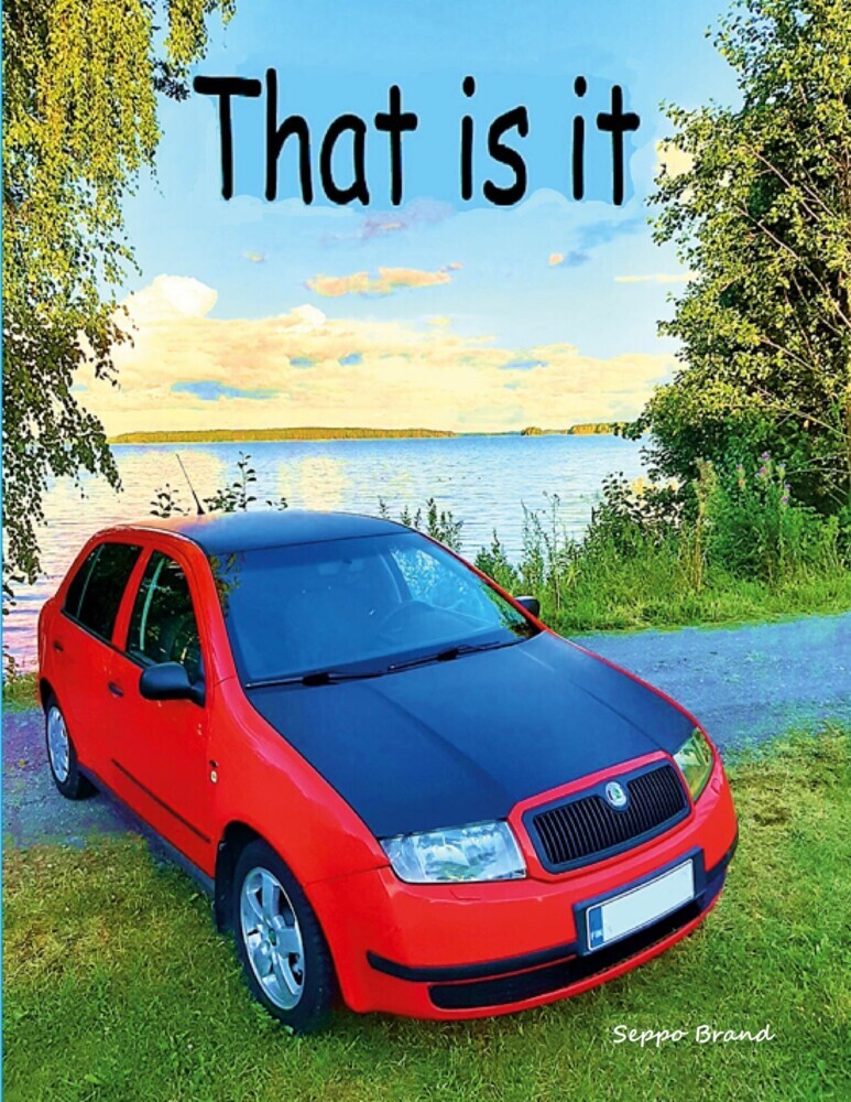 That is it main product photo