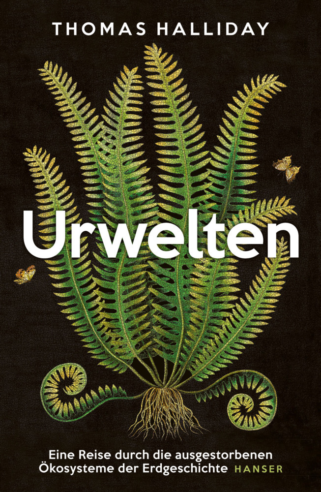 Urwelten main product photo