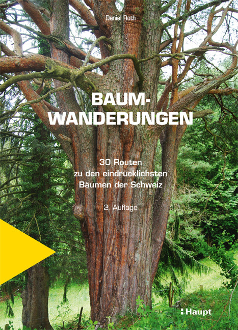 Baumwanderungen main product photo