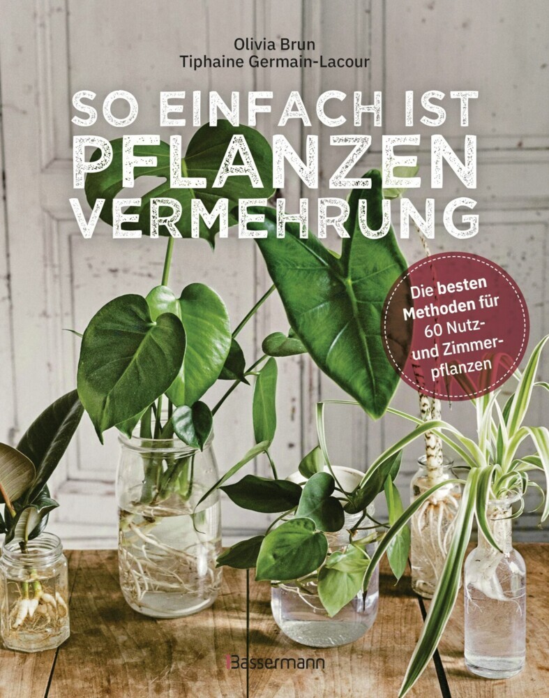 So einfach ist Pflanzenvermehrung. Die besten Methoden für 60 Nutz- und Zimmerpflanzen. main product photo
