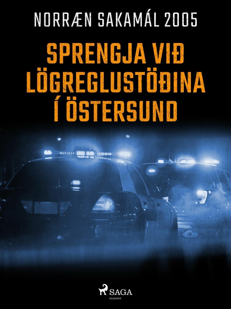 Sprengja við lögreglustöðina í Östersund main product photo