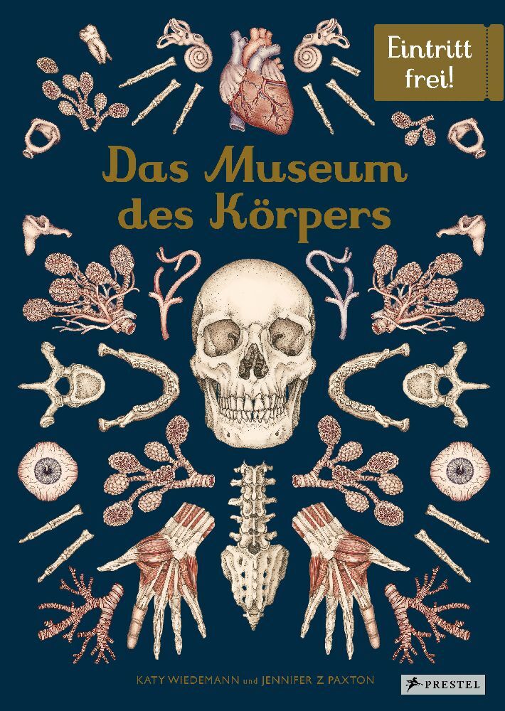 Das Museum des Körpers main product photo