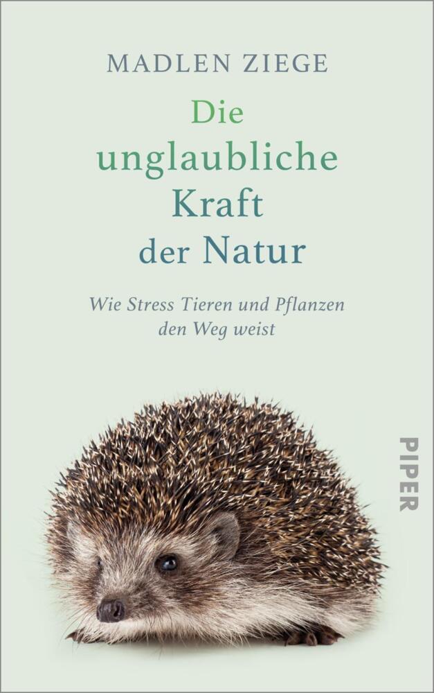 Die unglaubliche Kraft der Natur main product photo