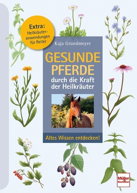 Gesunde Pferde durch die Kraft der Heilkräuter main product photo